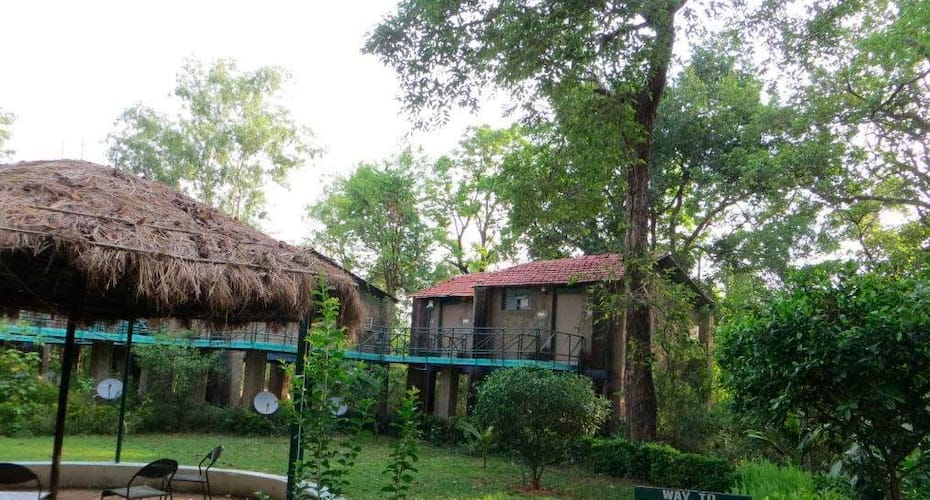 MPT White Tiger Forest Lodge, Bandhavgarh 5